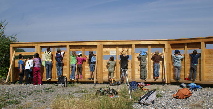 Palissade d'observation