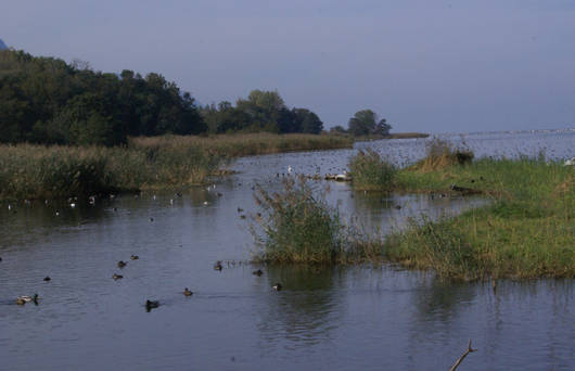 Vue_depuis palissade