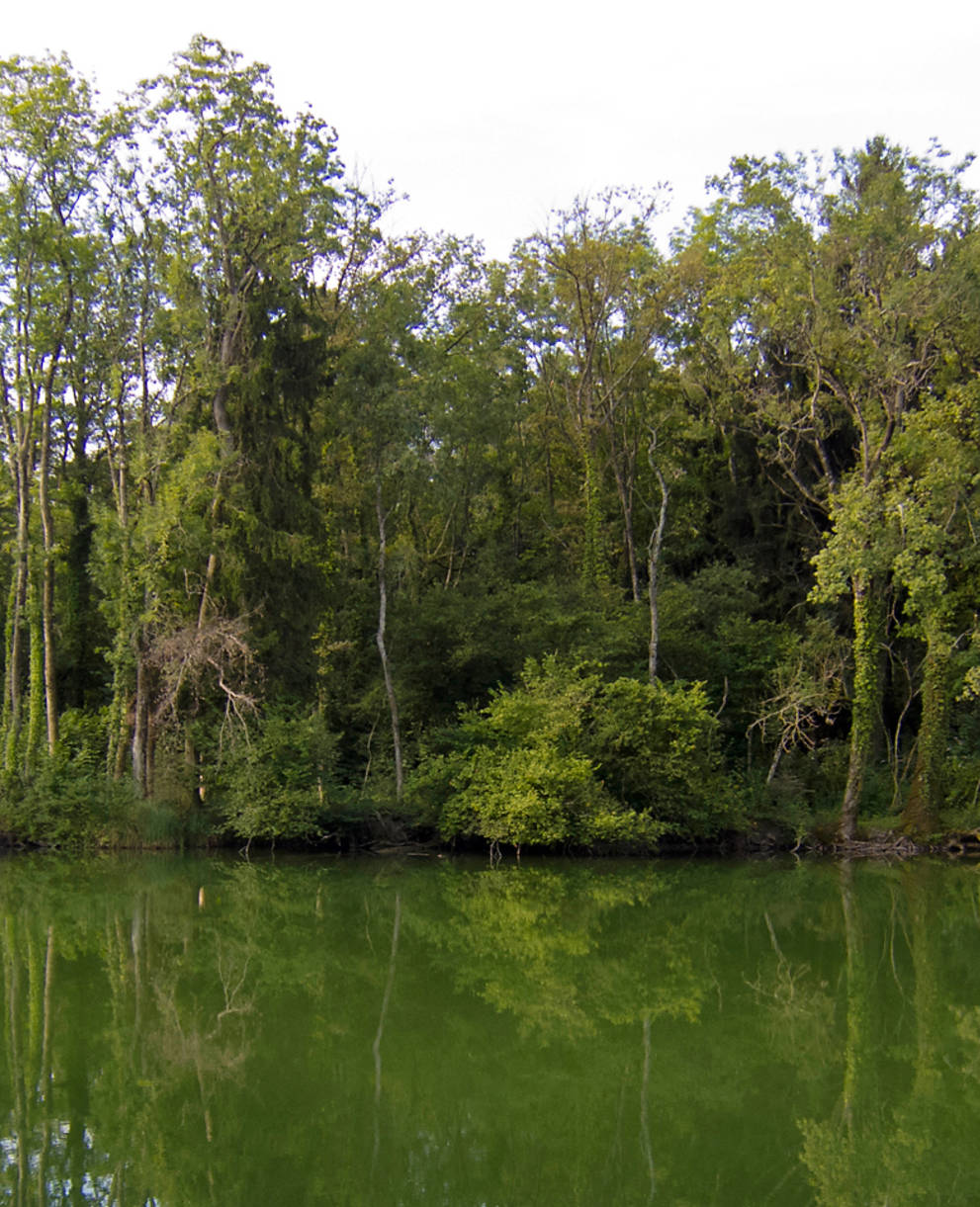 Réserve des grangettes