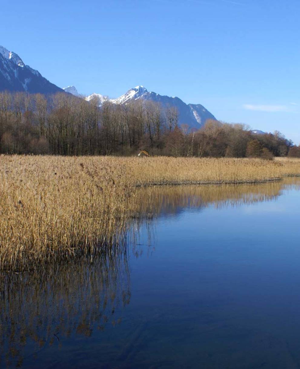 Grangettes © Pro Natura