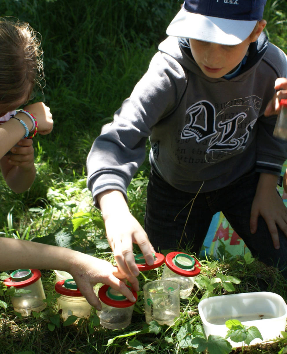 Groupe d'enfants observant la nature