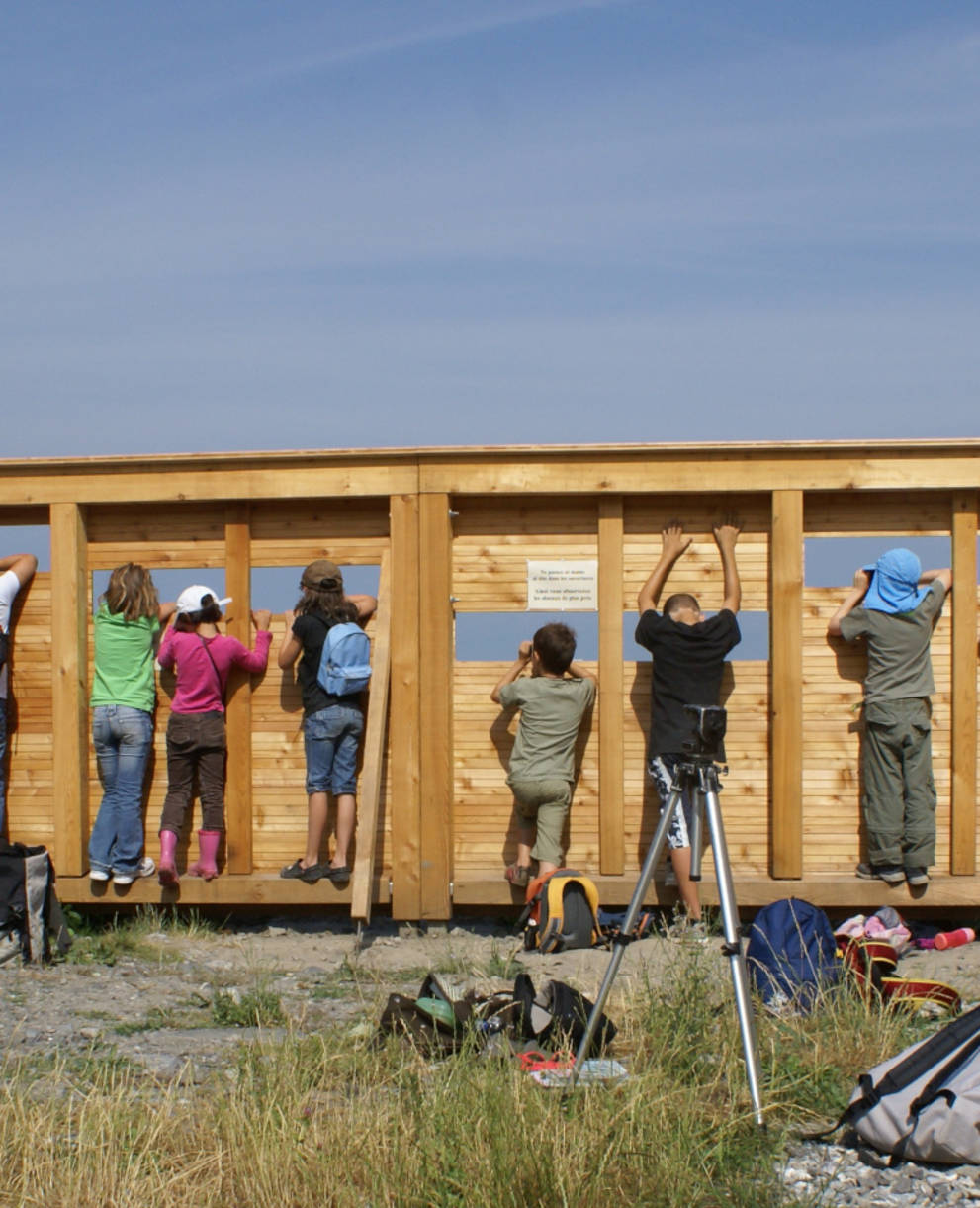 Palissade d'observation