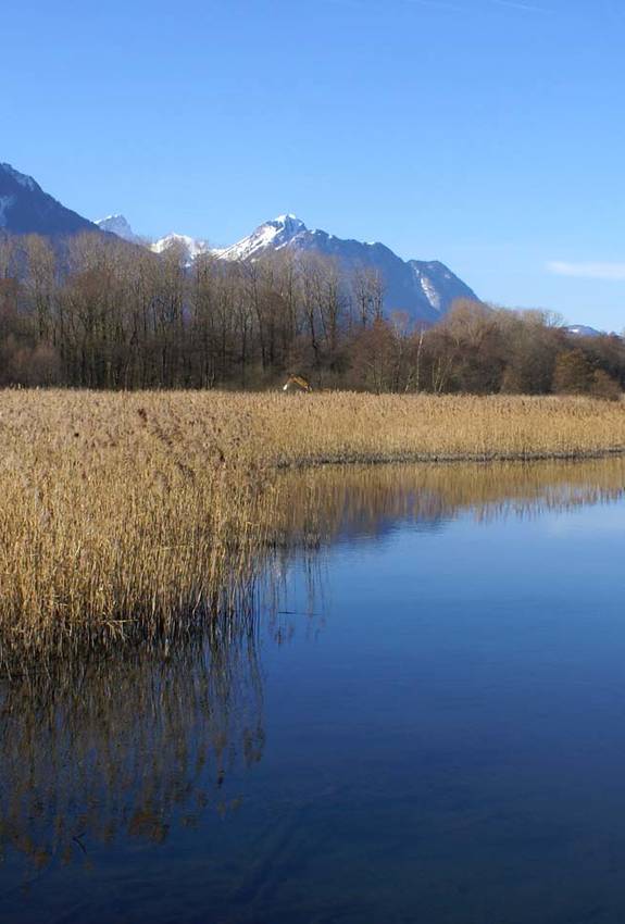 Grangettes © Pro Natura