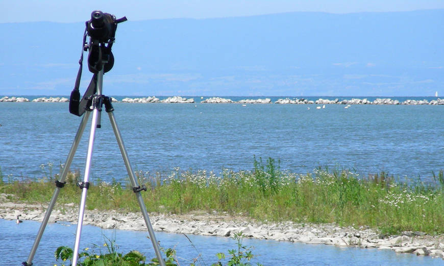 grangettes_lac_et_longuevue_teaser_pro_natura_vaud